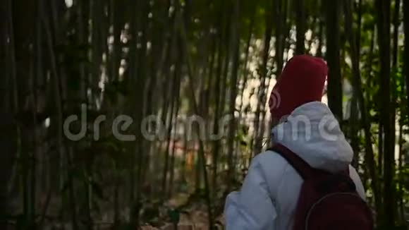 女孩穿过竹丛视频的预览图