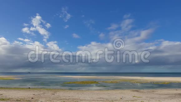 热带锡基乔海滩与白鹭视频的预览图