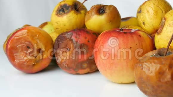 五彩烂腐熟的苹果和一个成熟的苹果在白色背景视频的预览图