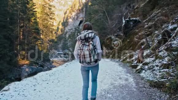 年轻的斯兰德女士在山上的森林里带着雪走在路上慢动作视频的预览图