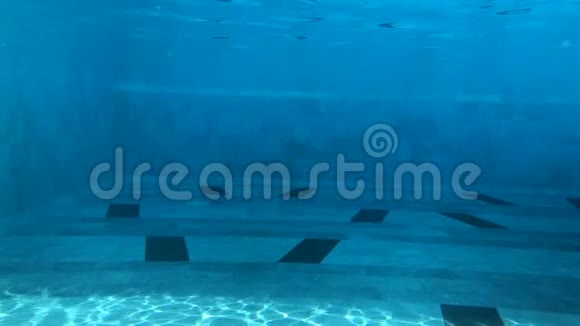 女人在蓝色的游泳池里水下游泳视频的预览图