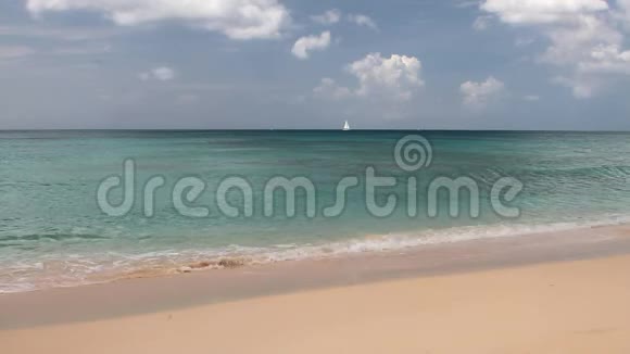 沙滩和大海Brandons巴巴多斯布里奇顿视频的预览图