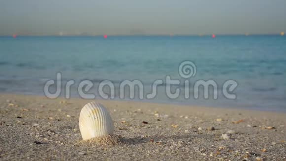 沙滩上的贝壳以海为背景的旅游理念视频的预览图