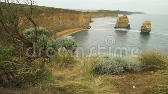 从澳大利亚十二使徒的悬崖上观赏风景视频的预览图