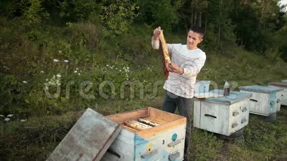 养蜂人站在蜂巢附近手里拿着一个蜂巢视频的预览图