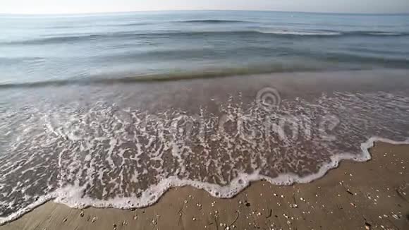 清晨海岸上的海浪视频的预览图