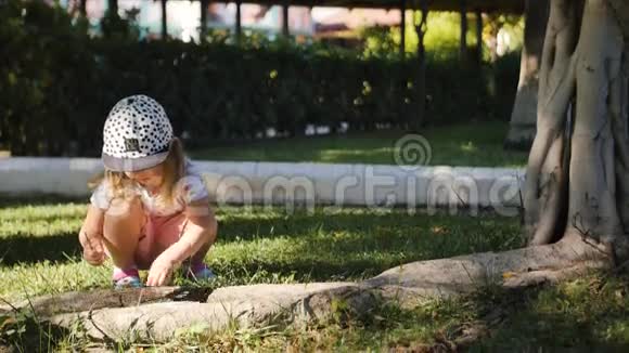 可爱的小女孩从草地上收集树棒做一个花束视频的预览图