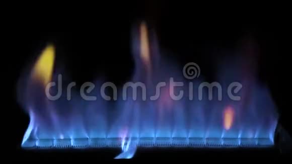 令人满意的4k近景蓝色五颜六色的火焰光在煤气炉厨房炊具中慢慢燃烧视频的预览图