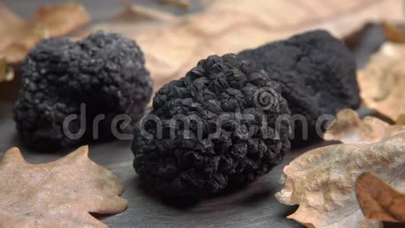 橡木叶间放置的黑色块菌视频的预览图
