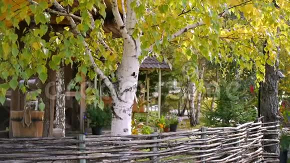 有装饰的花园和桦树视频的预览图