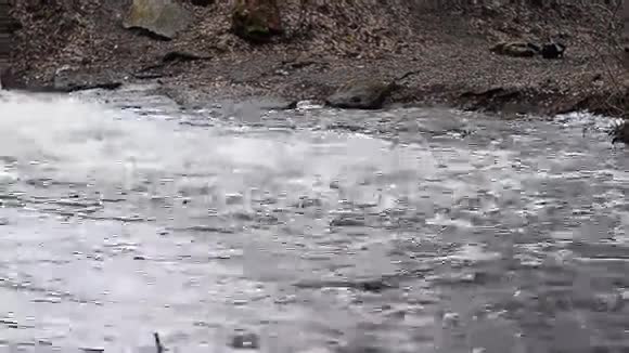水在河岸流动视频的预览图