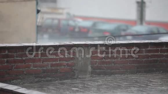 暴雨墨西哥城视频的预览图