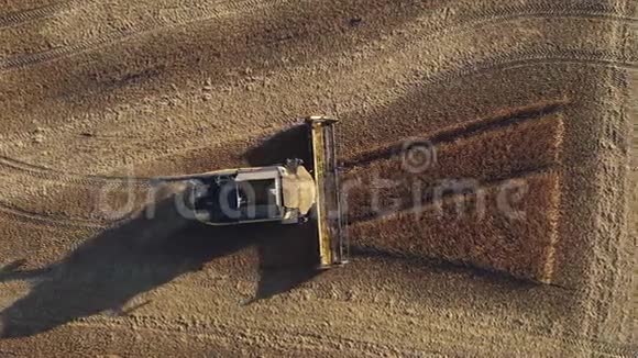 在收获大豆田的过程中无人机在联合收割机后面的飞行视频的预览图