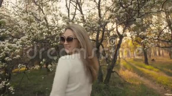 穿着毛衣牛仔裤的迷人年轻女子在盛开的苹果树间翩翩起舞日落春天的果园和视频的预览图