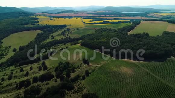 空中无人驾驶飞机俯瞰农村的农田和葡萄园视频的预览图
