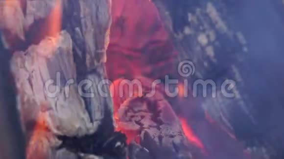 森林里的篝火近距离射击视频的预览图
