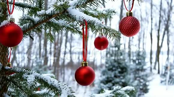 在外面覆盖着雪的树枝上挂着红色的圣诞球视频的预览图