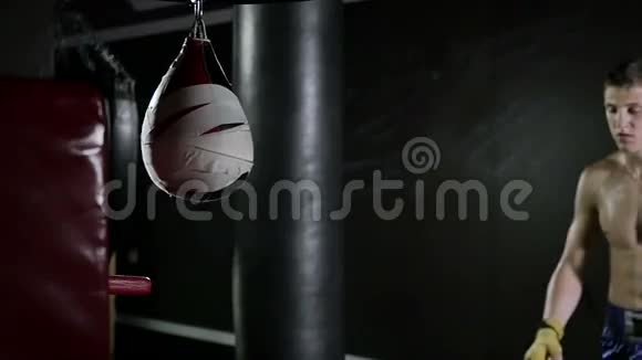 拳击手适合训练弹丸视频的预览图