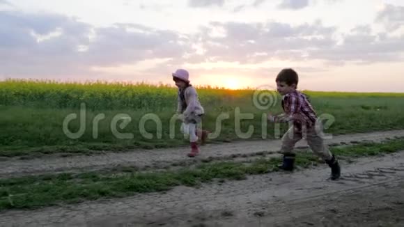 笑孩子跑跑兄妹跑田间路开心笑孩子玩得开心健康视频的预览图