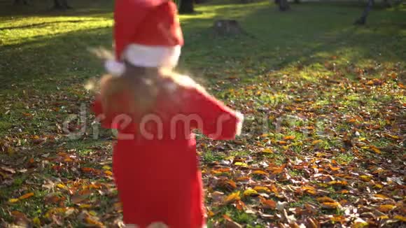 一个穿红色衣服的小女孩在黄叶上奔跑视频的预览图