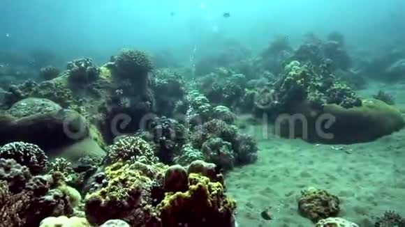 水下气泡从阿波岛附近的沙底上升视频的预览图