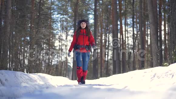 女游客在森林里徒步旅行在冬季森林徒步旅行时微笑着快乐的活跃女性慢动作视频的预览图