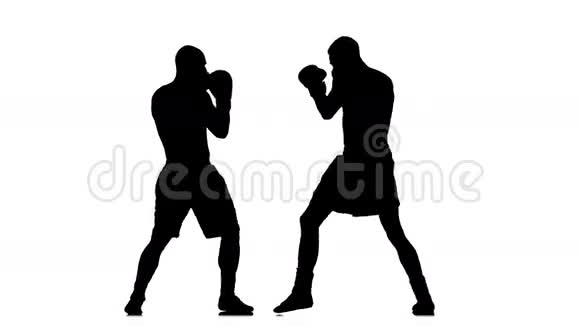 非接触式训练剪影中的两个拳击手视频的预览图