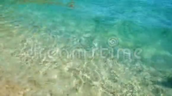 清澈的蓝色热带海滩视频的预览图
