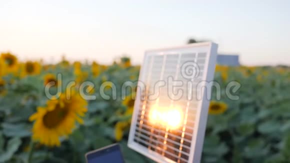 在背光下用手机近距离充电手把太阳能电池板放在背景蓝天和向日葵上蜂窝式视频的预览图