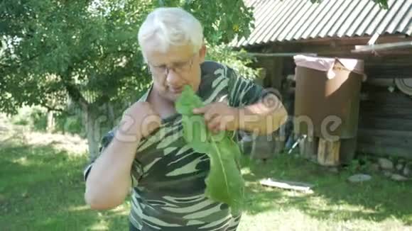 一个男人在用一只臭鼬对待自己植物被切断并应用于肩部房子附近的花园视频的预览图