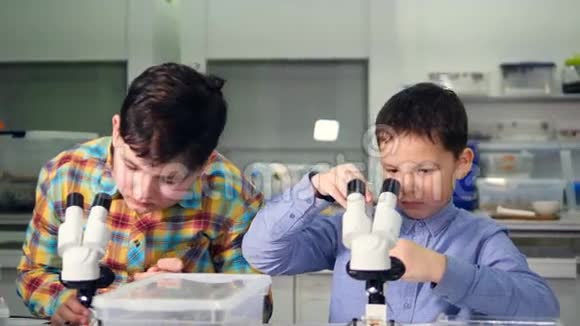小学生在学校实验室做科学实验视频的预览图