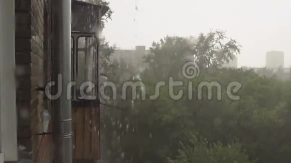 小雨夏天下大雨视频的预览图