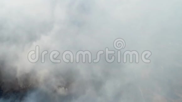 从树林里冒出浓烟的空中镜头树林旁边有条路视频的预览图