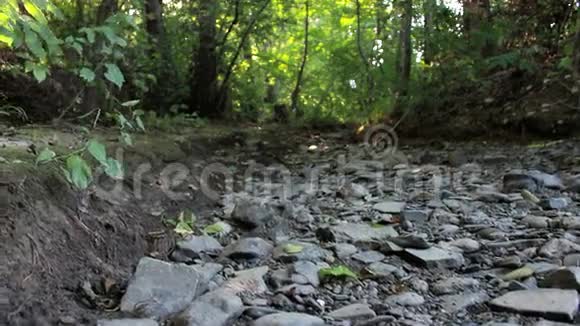 干涸的岩石河床视频的预览图