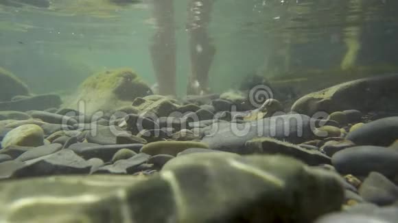 脚在石头底部的水中慢慢地移动视频的预览图
