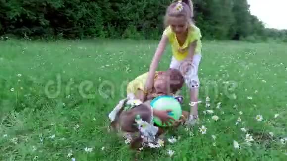孩子们玩球躺在草地上在雏菊中互相拿走球他们玩得很开心夏季视频的预览图