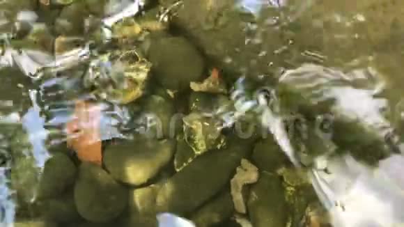 美丽的石头躺在清澈的水里视频的预览图