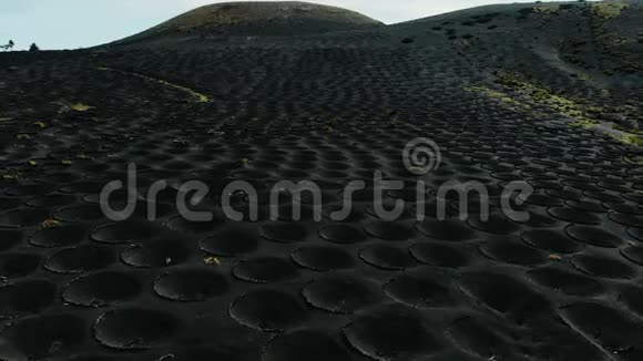 加那利群岛兰萨罗特火山土壤葡萄园视频的预览图