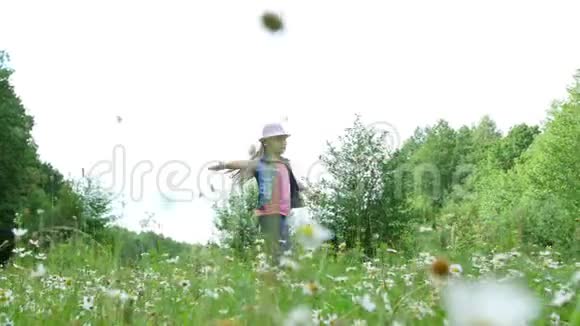 在草地上在雏菊中在草地上跳舞跳跃玩得很开心一个漂亮的女孩大约七岁她是视频的预览图