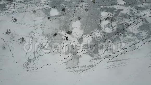 拉脱维亚里加一条冰冻的河流上的渔夫的鸟瞰图4K录像视频的预览图