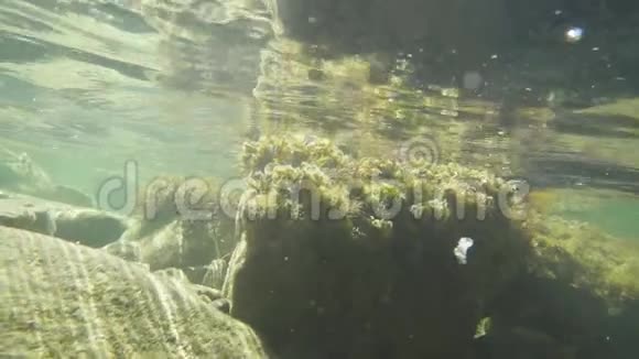 在石岸上摄像机在水下的光运动视频的预览图