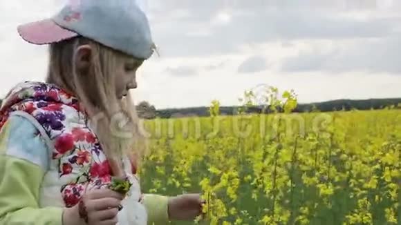 小美丽的女孩采摘油菜花视频的预览图
