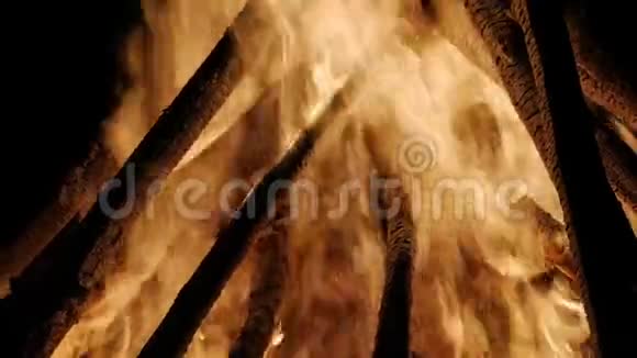 夜晚的篝火在橙色火焰中燃烧原木视频的预览图