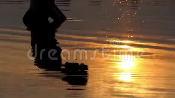 年轻人在棕榈树上掀起河水看着它在金色的夕阳下视频的预览图