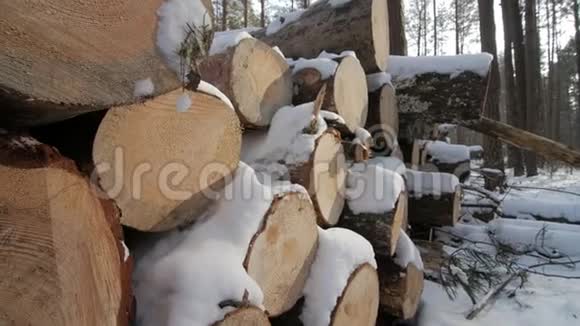 冬天阴天路上长满了白雪的树木视频的预览图