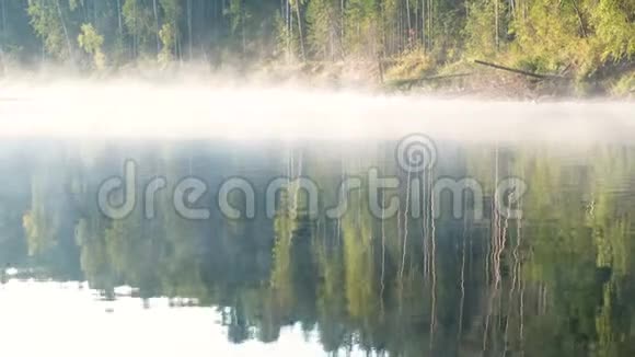 薄雾笼罩着河秋天的森林反映在河岸上的水中视频的预览图