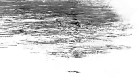 抽象的水镜头白色闪闪发光视频的预览图