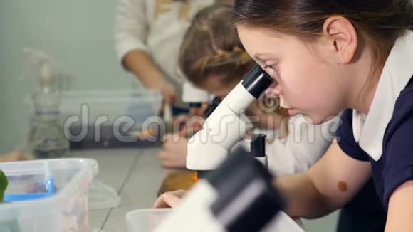 特写镜头孩子们在学校实验室里看显微镜学习生物学化学学校科学概念视频的预览图