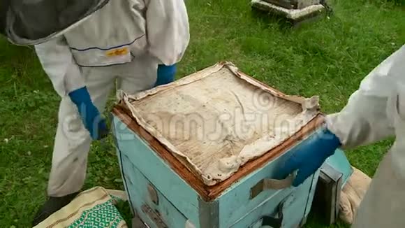 养蜂人从蜂巢和蜂窝中取出蜂蜜视频的预览图