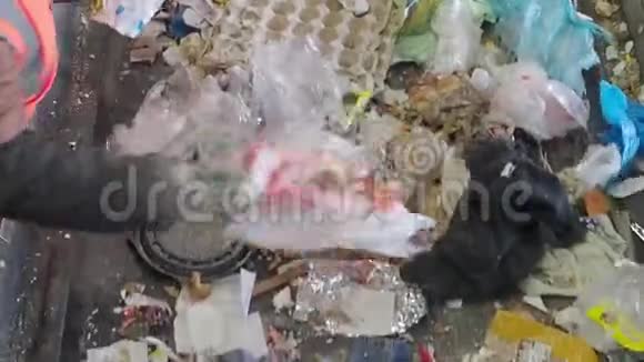 俄罗斯垃圾回收厂输送机上的垃圾分类视频的预览图